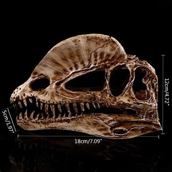 Дилофозавр Череп на Динозавър, Занаяти, изработени от смола Ископаемый Скелет Образователна модел Украса за дома и офиса на Хелоуин