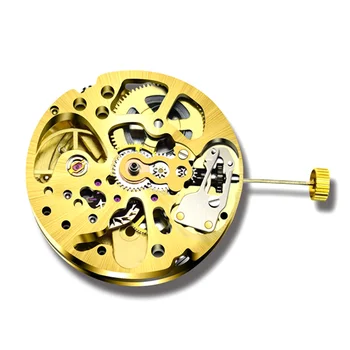 Златен скелет 2004 Механизъм Обикновена настройка на махалото Диаграма на насоченост Напълно Автоматичен с часовников механизъм